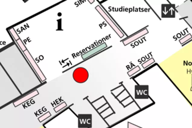 Map of the library. Overview. Illustration. 